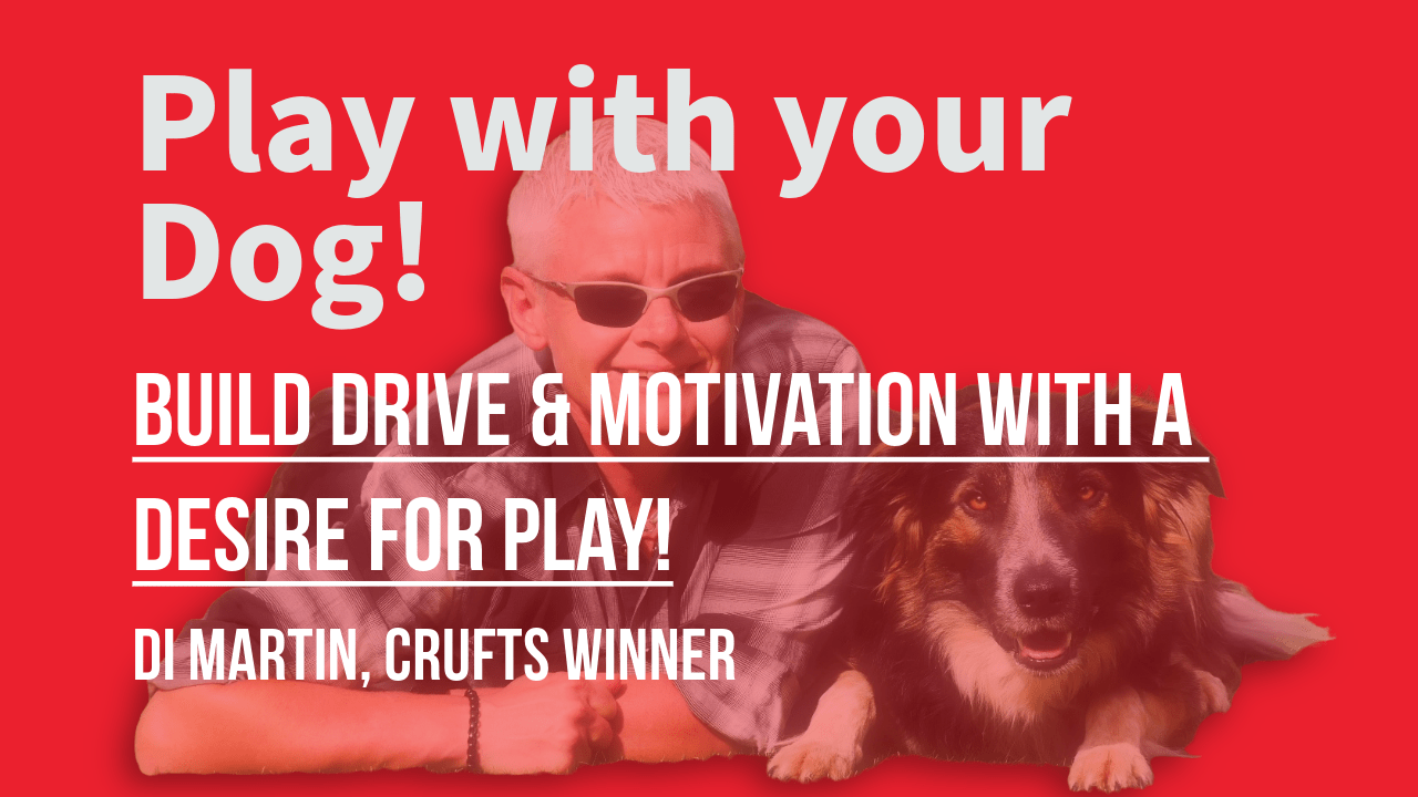 Build Drive and Motivation with Toy Play